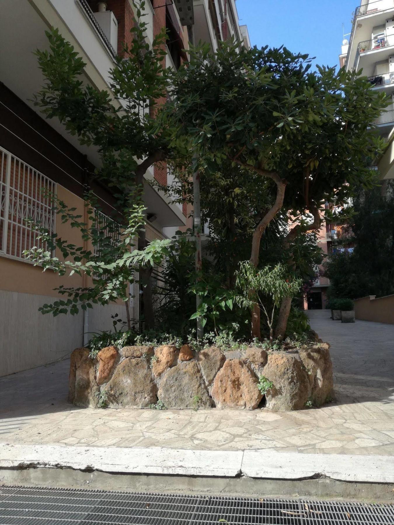 Testa Gioacchino B&B Rome Buitenkant foto